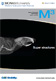M3 Winter 2009 cover
